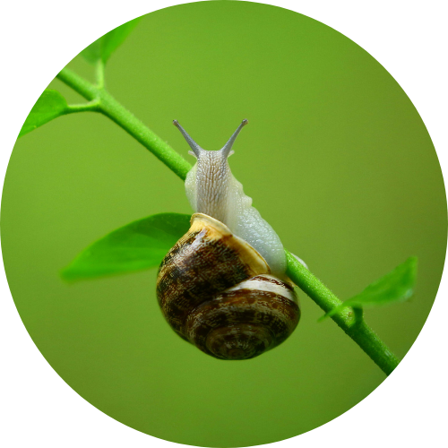 Crema Contorno Occhi
