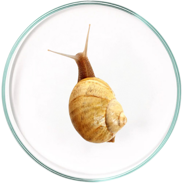 KIT Contorno Occhi Siero+Crema