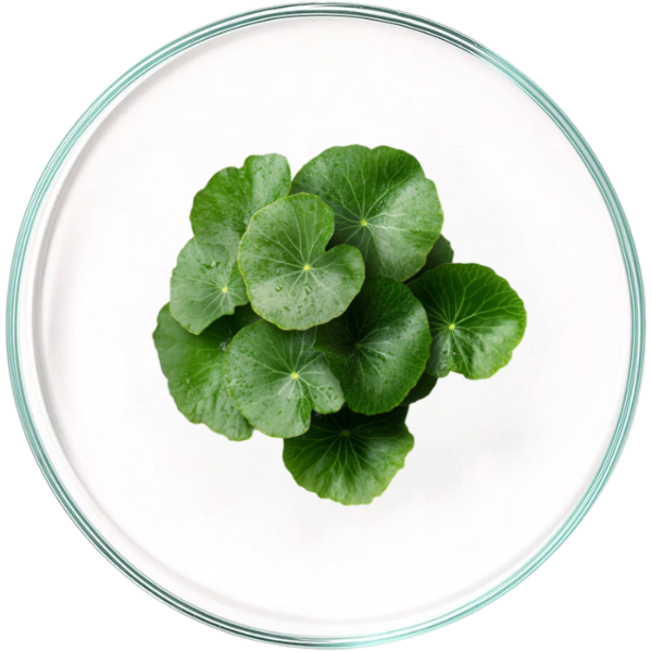 Maschera Viso Purificante Antietà